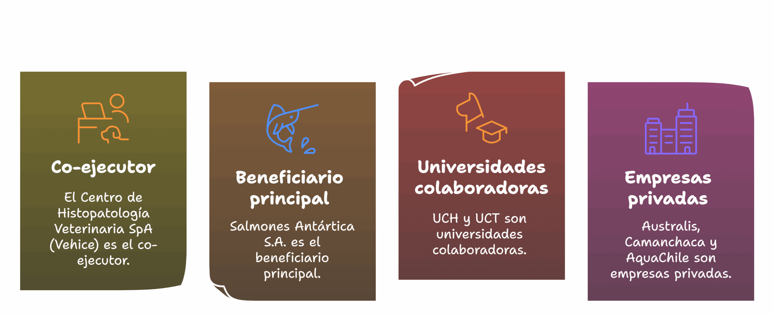 Sección de Co-ejecutores y Participantes - visual selection (1)
