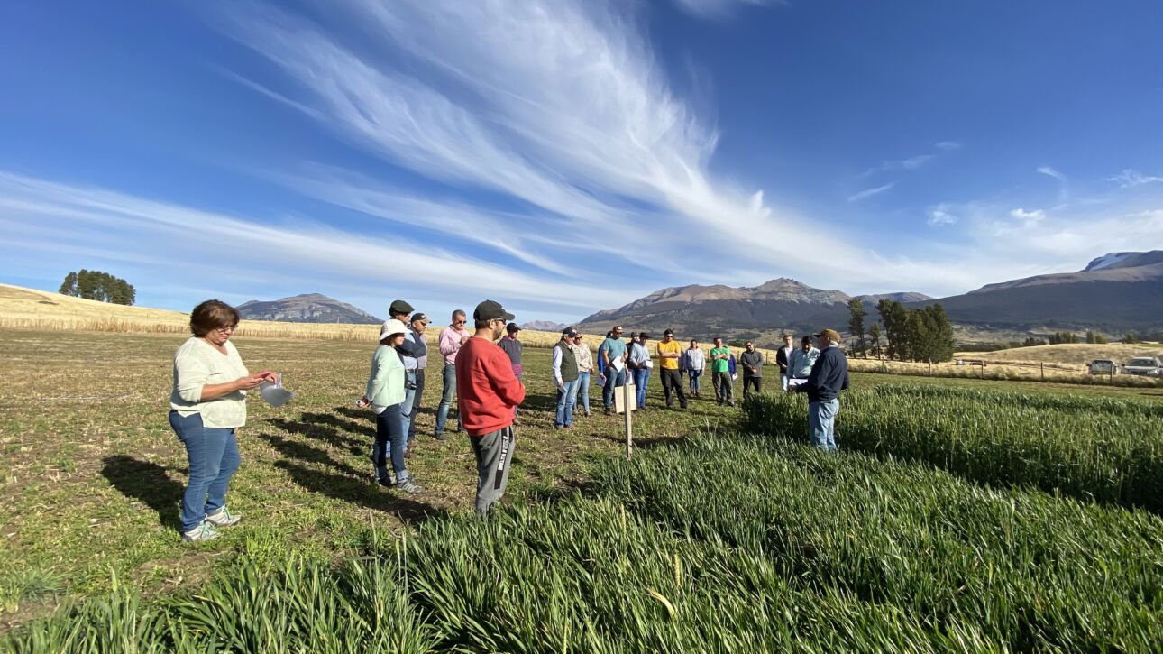 Día de Campo en Aysén (gentileza de INIA Chile)
