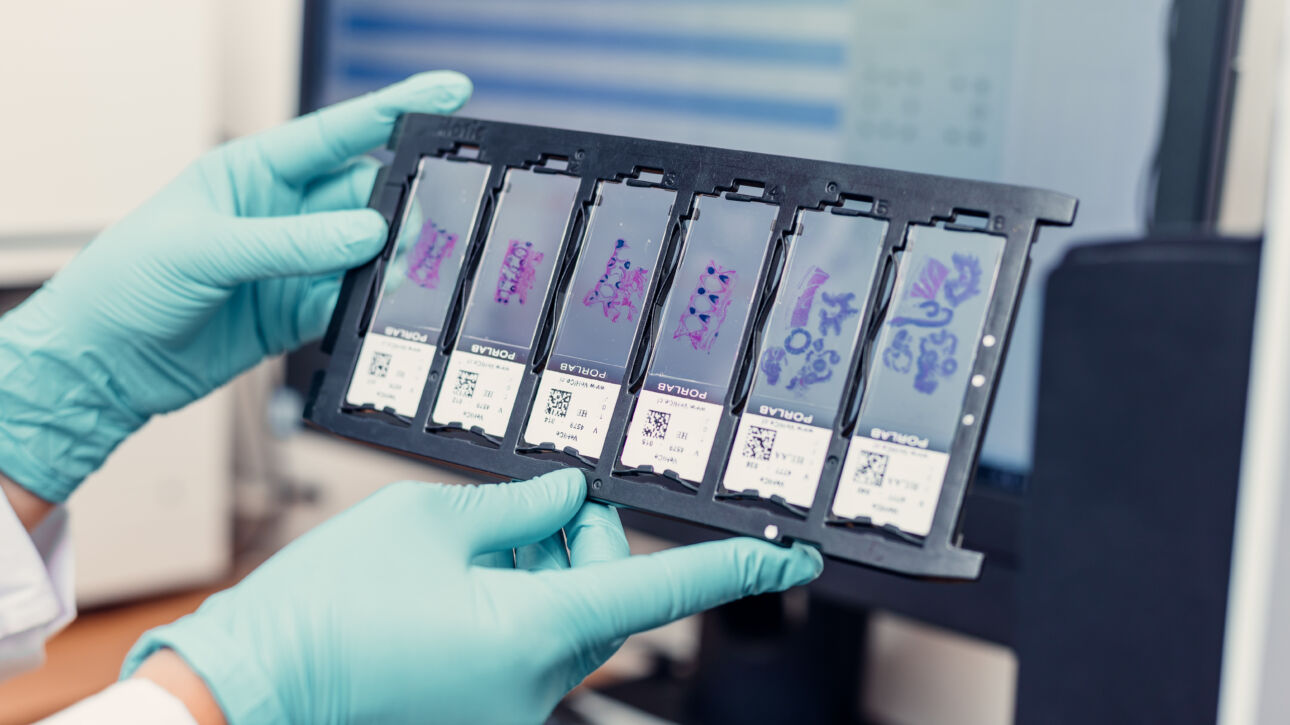 Foto de laboratorio de VeHiCe (créditos VeHiCe)3