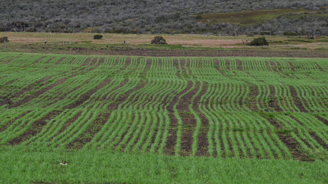 Visita a Magallanes - diciembre de 2023 (créditos PTEC-INVA)3