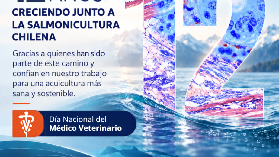VeHiCe celebra 12 años de trayectoria en diagnóstico veterinario y salud acuícola, junto al Día Nacional del Médico Veterinario.