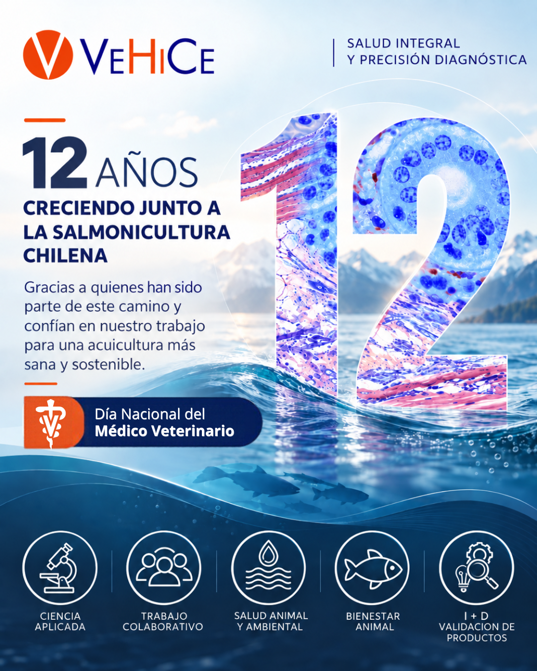 VeHiCe celebra 12 años de trayectoria en diagnóstico veterinario y salud acuícola, junto al Día Nacional del Médico Veterinario.