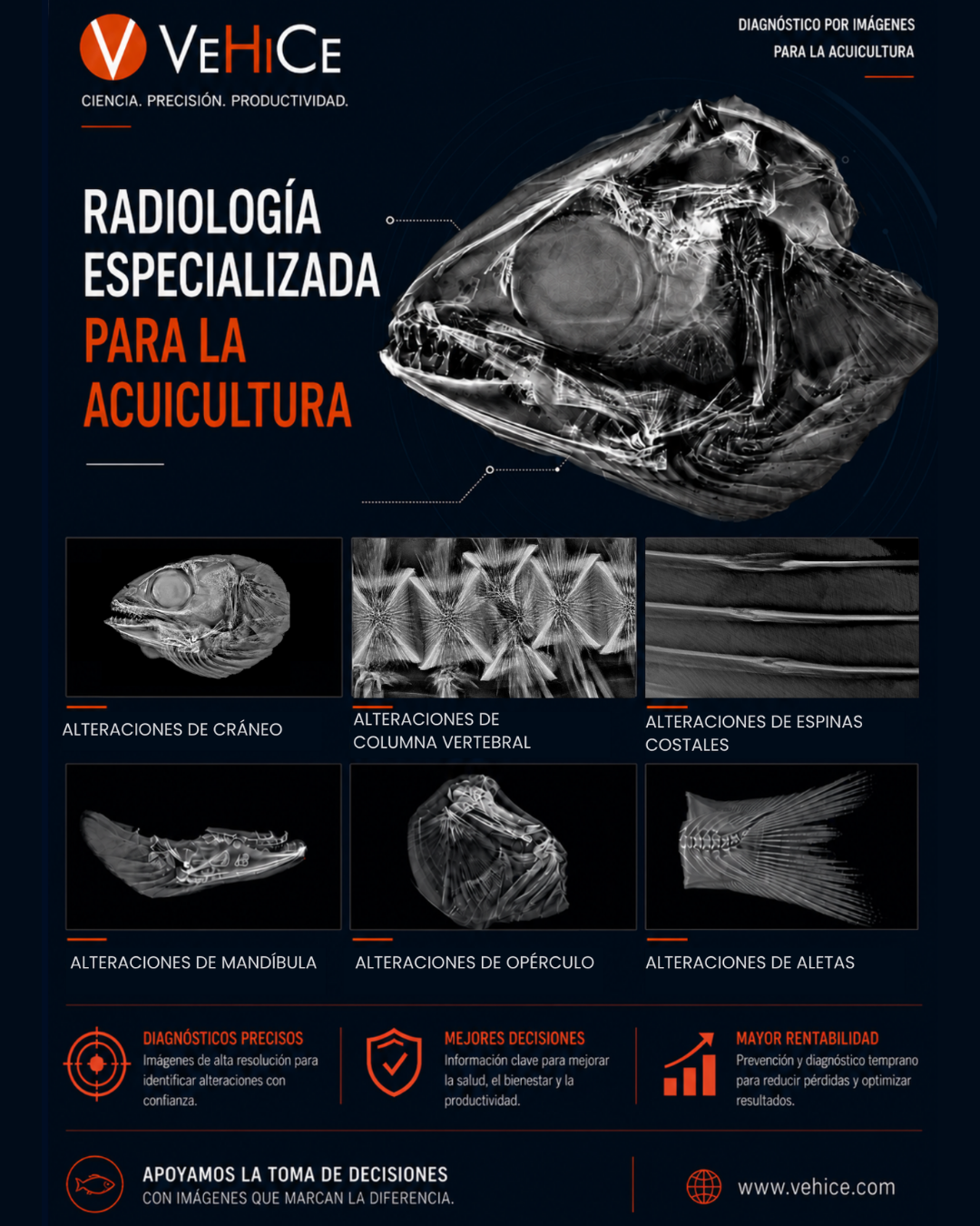 Diagnóstico por imágenes de alteraciones en cráneo, columna vertebral, opérculo y mandíbula en salmón del Atlántico
